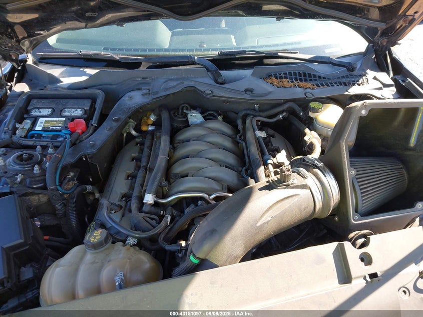 2017 FORD MUSTANG GT - 1FA6P8CF4H5202560