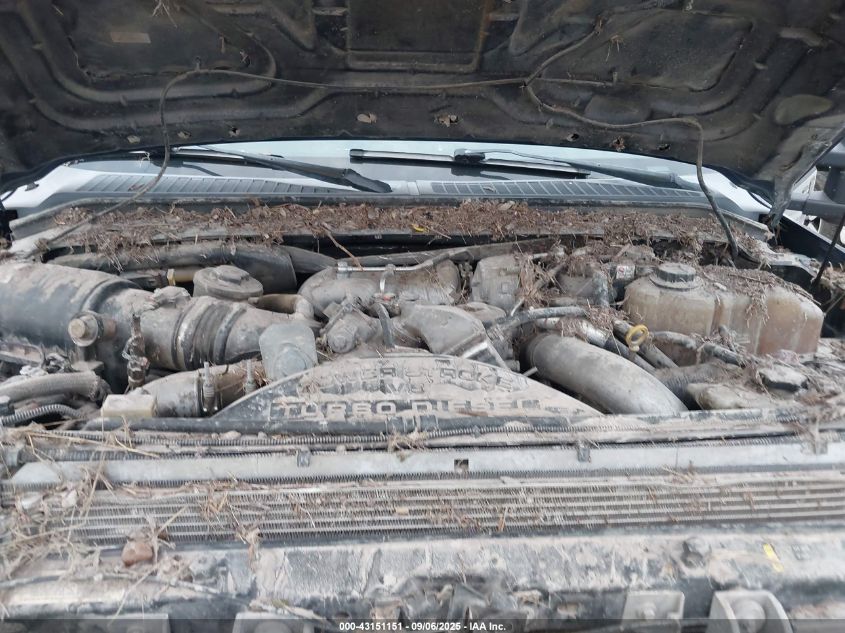 2010 Ford F250 Super Duty VIN: 1FTSW2BR1AEA45631 Lot: 43151151