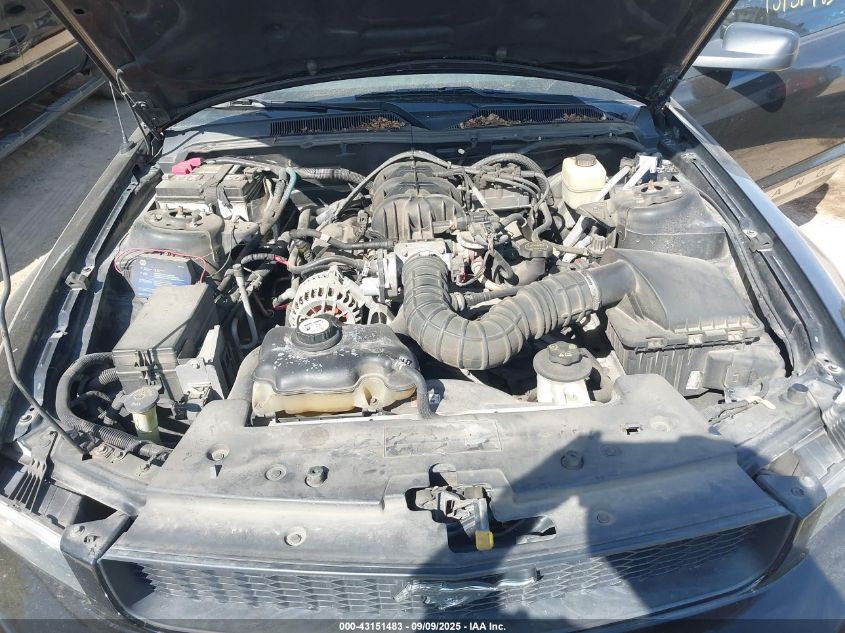 2006 Ford Mustang V6 VIN: 1ZVFT84N865148718 Lot: 43151483