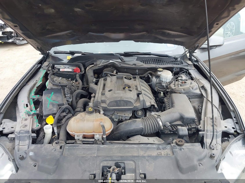 2019 FORD MUSTANG ECOBOOST - 1FA6P8TH5K5102105