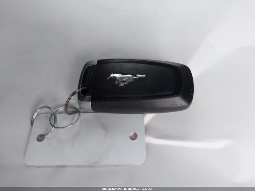 2019 FORD MUSTANG ECOBOOST - 1FA6P8TH5K5102105