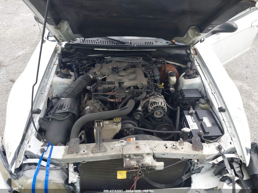 2004 Ford Mustang VIN: 1FAFP44634F177226 Lot: 43152207