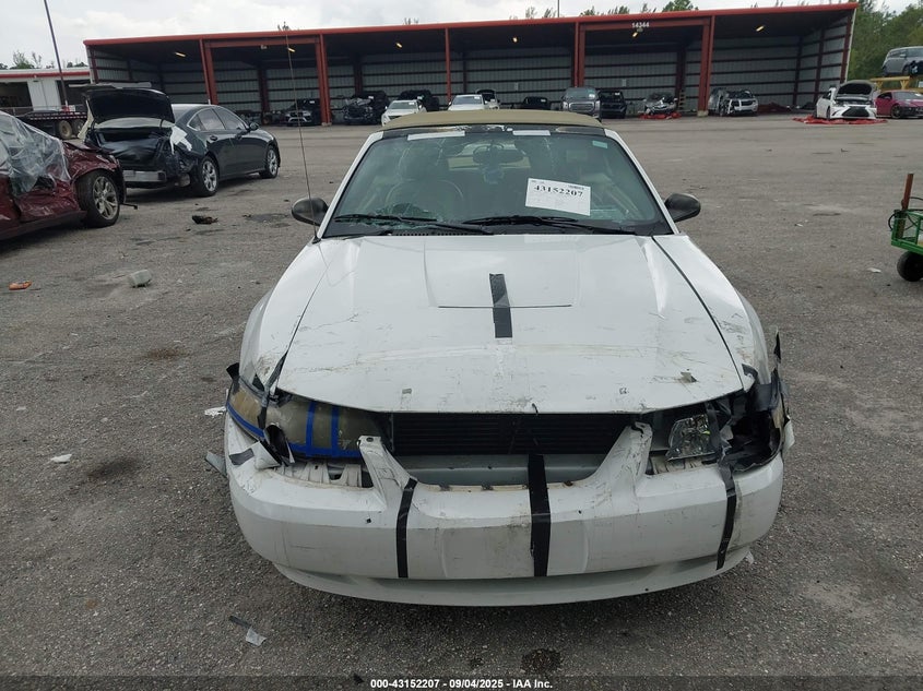 2004 Ford Mustang VIN: 1FAFP44634F177226 Lot: 43152207