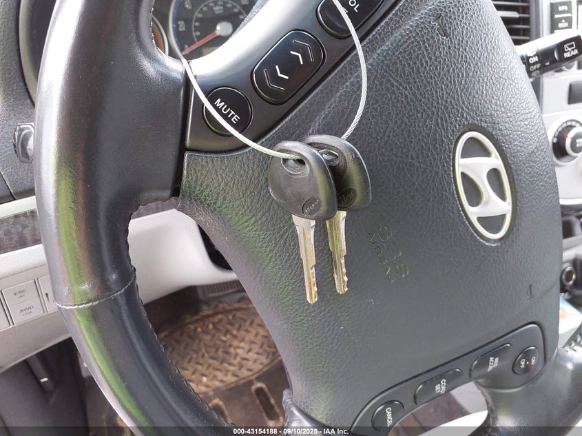 2009 Hyundai Santa Fe Se VIN: 5NMSH73E79H233808 Lot: 43154188