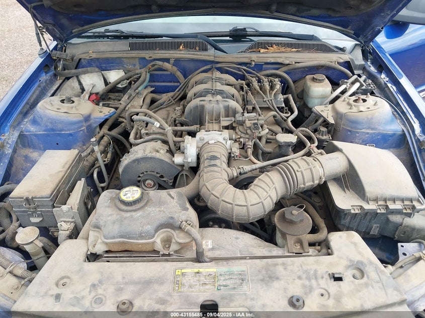 2005 Ford Mustang V6 Deluxe/V6 Premium VIN: 1ZVFT80N955175172 Lot: 43155485