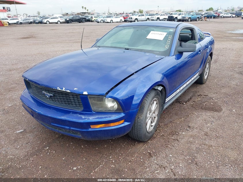 2005 Ford Mustang V6 Deluxe/V6 Premium VIN: 1ZVFT80N955175172 Lot: 43155485