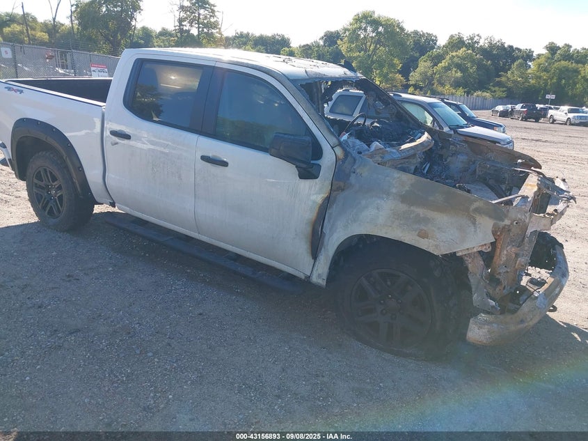 3GCPDBEK8RG256484 2024 Chevrolet Silverado 1500 auction photo 1