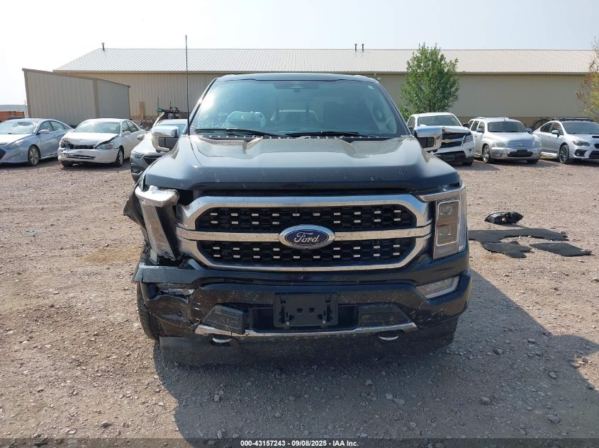 2023 Ford F-150 Platinum VIN: 1FTFW1E86PFC23079 Lot: 43157243