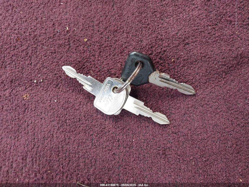 1986 Alfa Romeo Veloce 2000 Spider VIN: ZARBA5419G1037886 Lot: 43158875