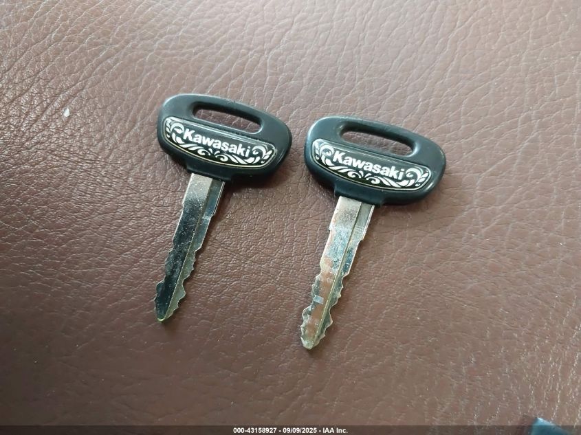 2002 Kawasaki Vn1500 L VIN: JKBVNAL142A013807 Lot: 43158927