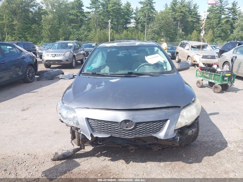 2010 Toyota Corolla Le VIN: 2T1BU4EE8AC281982 Lot: 43160808