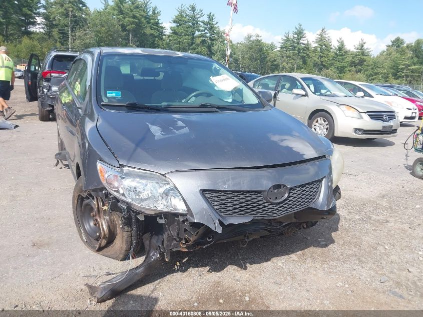 2010 Toyota Corolla Le VIN: 2T1BU4EE8AC281982 Lot: 43160808