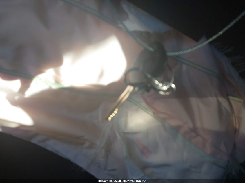 2017 TOYOTA CAMRY XLE - 4T1BF1FK3HU705316