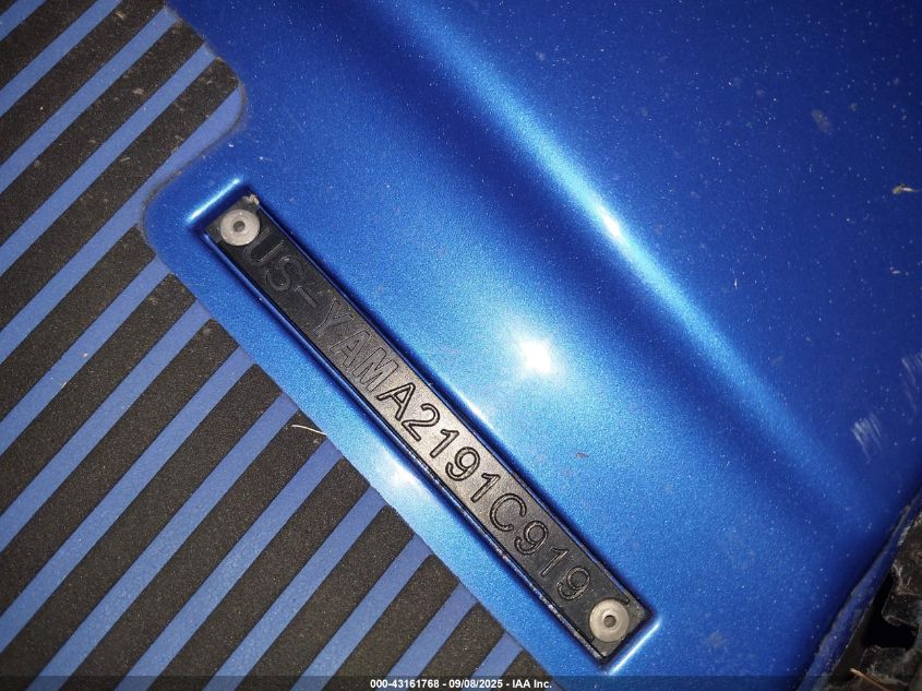 2019 Yamaha Ex Deluxe VIN: YAMA2191C919 Lot: 43161768