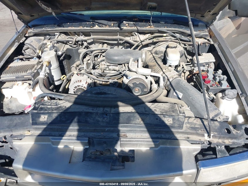 1GCCS19W4Y8272360 2000 CHEVROLET S-10 PICKUP photo no. 10