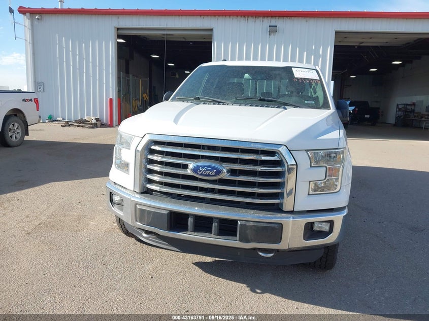 2016 FORD F-150 XLT 1FTFX1EG1GFD59690