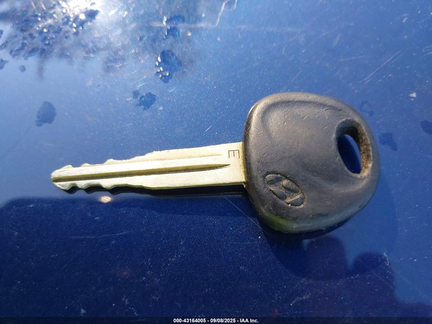 2004 Hyundai Santa Fe VIN: KM8SB12B54U787982 Lot: 43164005