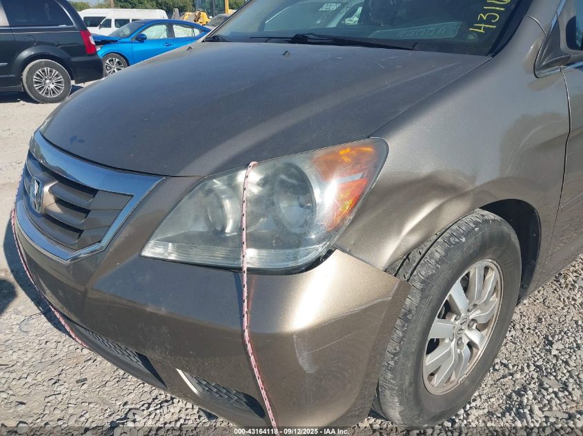 2009 Honda Odyssey Ex-L VIN: 5FNRL38789B021050 Lot: 43164118