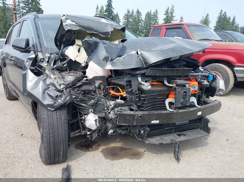 2024 KIA NIRO EV WIND - KNDCR3L14R5114494