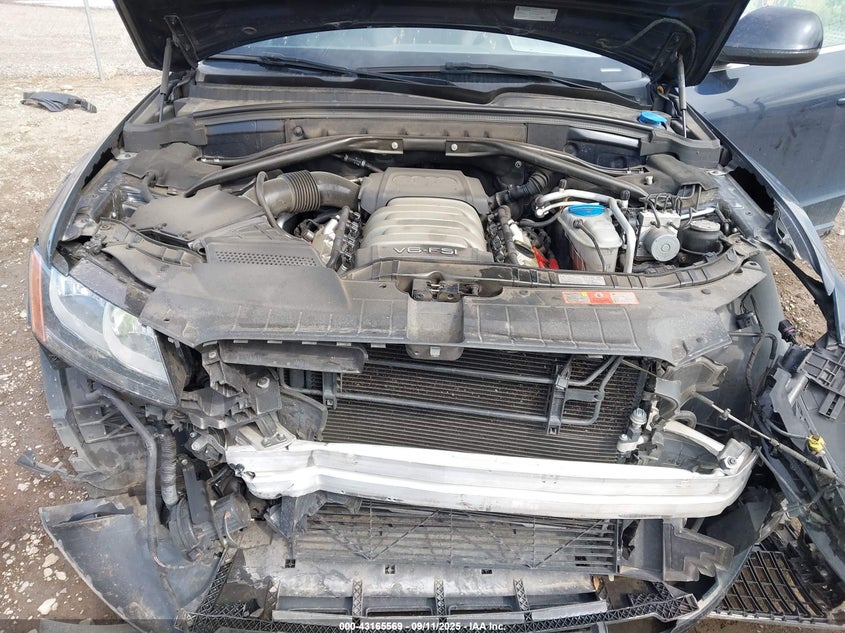 2009 Audi Q5 3.2 Premium VIN: WA1KK78R19A040541 Lot: 43165569