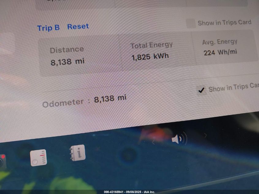 2024 Tesla Model Y Long Range Dual Motor All-Wheel Drive/Rwd VIN: 7SAYGDED2RF169875 Lot: 43165941