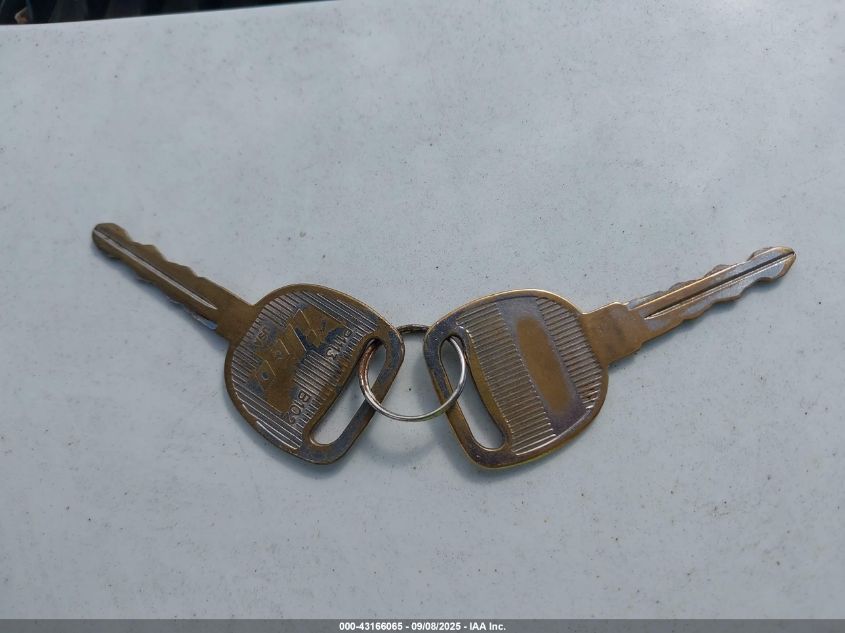 2003 Chevrolet Astro VIN: 1GCDM19X83B118771 Lot: 43166065