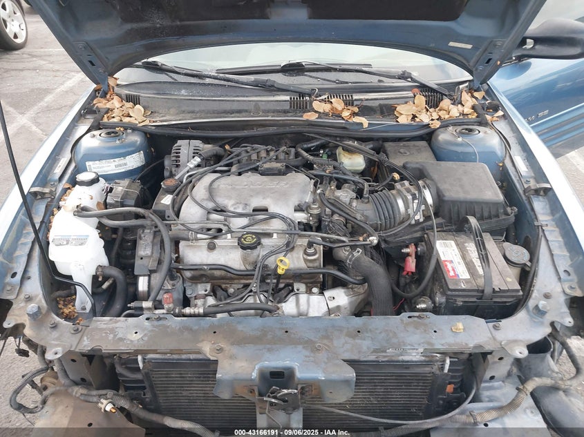 1999 Pontiac Grand Am Se VIN: 1G2NE52E9XM875453 Lot: 43166191