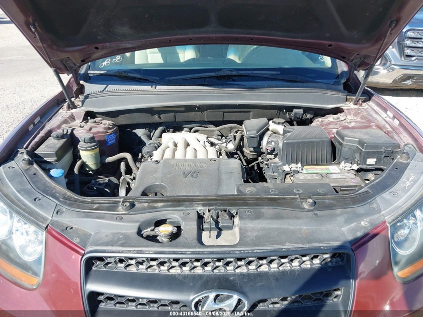 2009 Hyundai Santa Fe Gls VIN: 5NMSG73D99H276119 Lot: 43166540