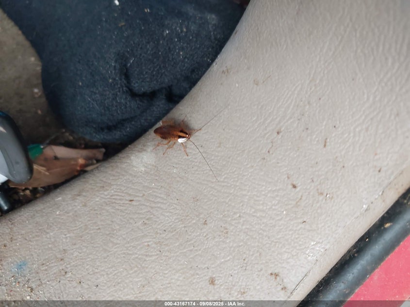 2004 Chevrolet Silverado 1500 Z71 VIN: 1GCEK19T84Z344115 Lot: 43167174