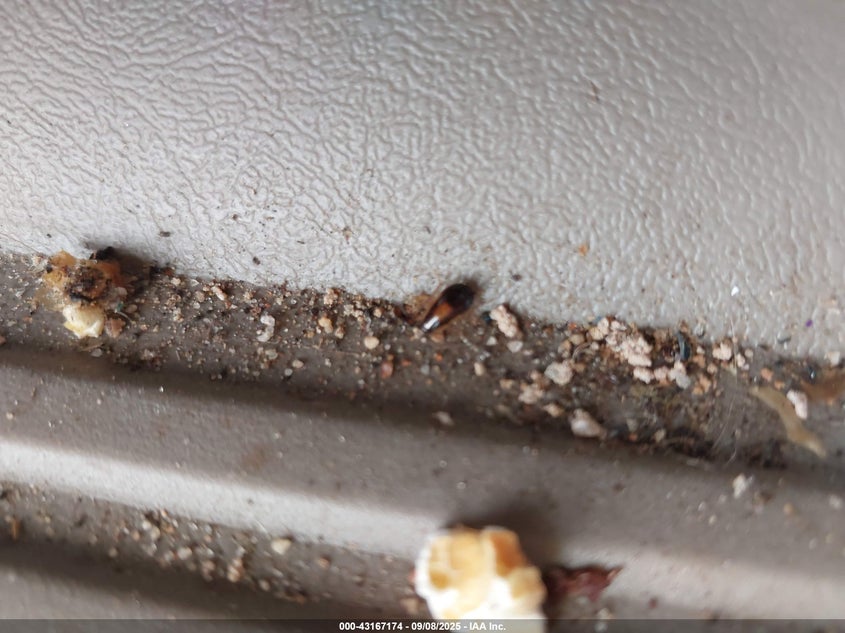 2004 Chevrolet Silverado 1500 Z71 VIN: 1GCEK19T84Z344115 Lot: 43167174