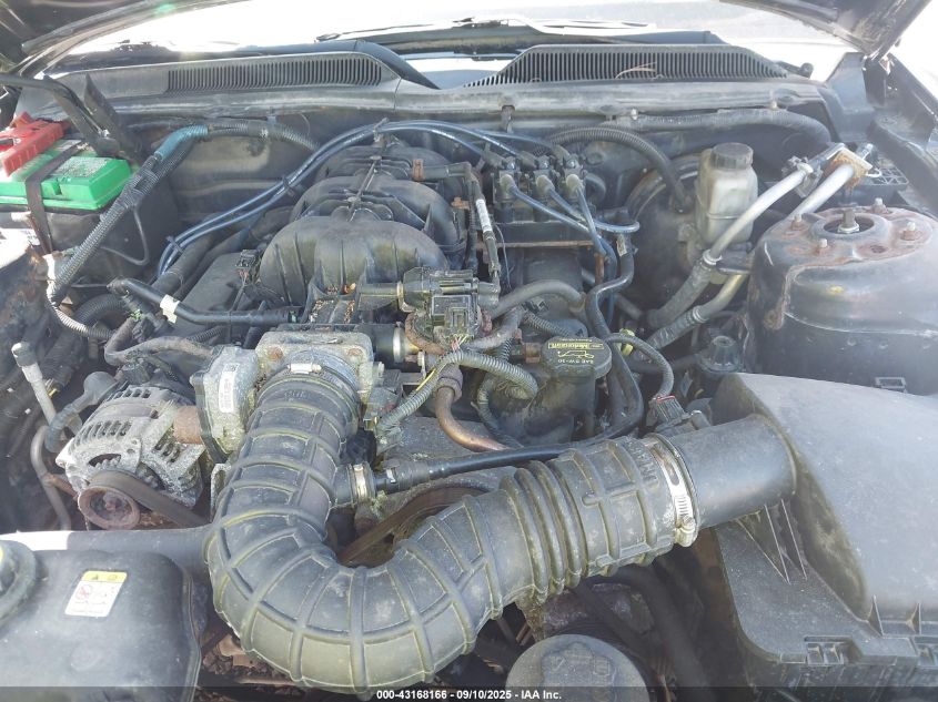 2009 Ford Mustang V6/V6 Premium VIN: 1ZVHT80N195135358 Lot: 43168166