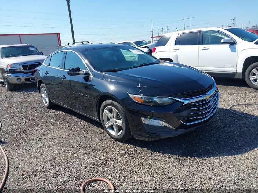 CHEVROLET MALIBU 1FL