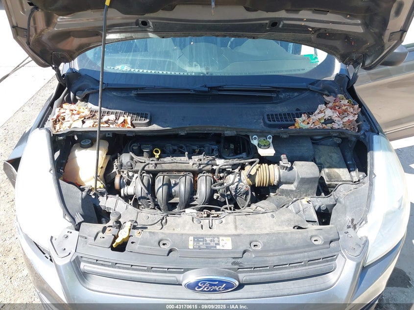 2013 FORD ESCAPE S - 1FMCU0F76DUC67904