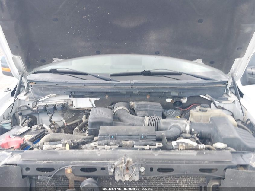 2009 Ford F-150 Xlt VIN: 1FTPW14V09FA25063 Lot: 43170738