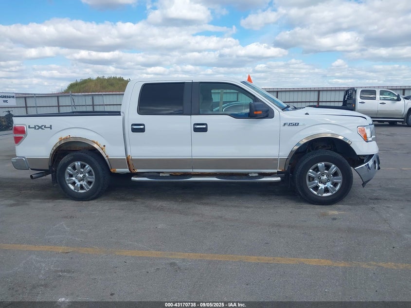 2009 Ford F-150 Xlt VIN: 1FTPW14V09FA25063 Lot: 43170738