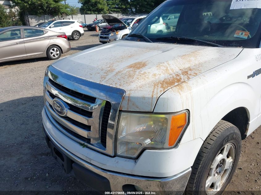 2011 Ford F-150 Xlt VIN: 1FTNF1CF1BKD84386 Lot: 43170855