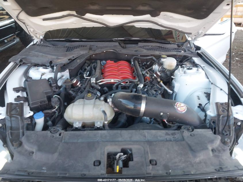 2021 Ford Mustang Gt Fastback VIN: 1FA6P8CF7M5146415 Lot: 43171177