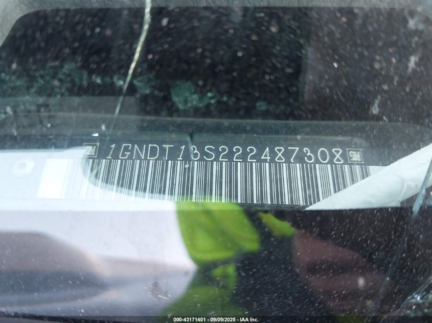 2002 Chevrolet Trailblazer Ls VIN: 1GNDT13S222487308 Lot: 43171401