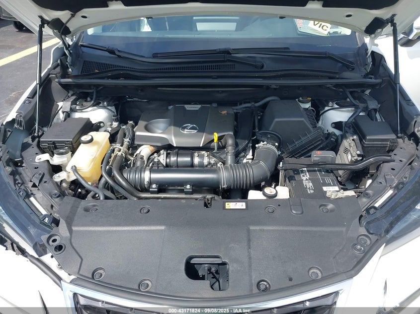 2020 LEXUS NX 300 - JTJDARBZ4L2177462