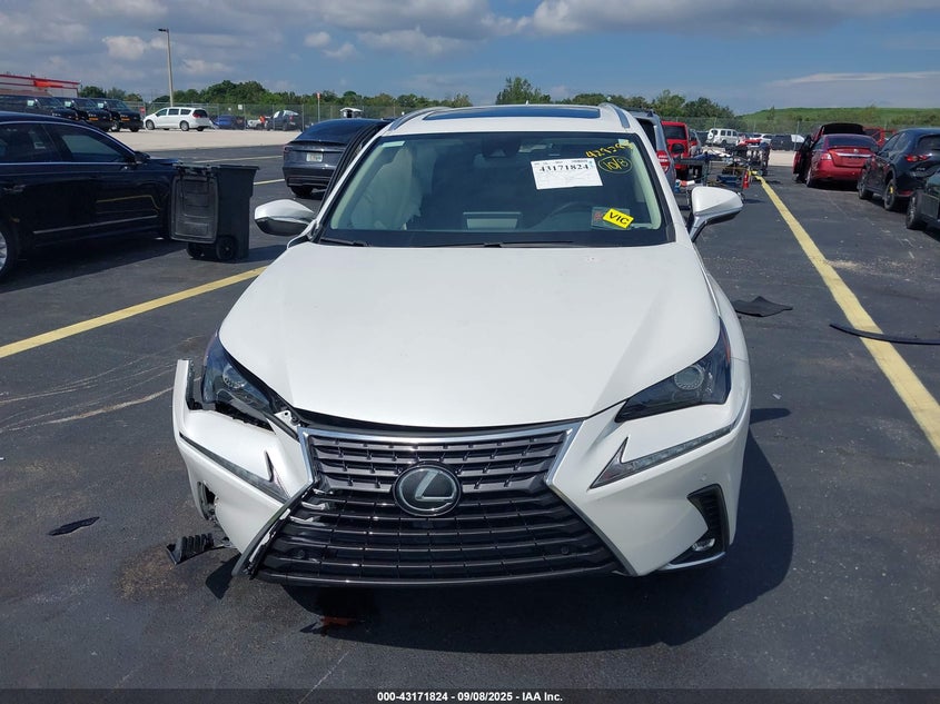 2020 LEXUS NX 300 - JTJDARBZ4L2177462