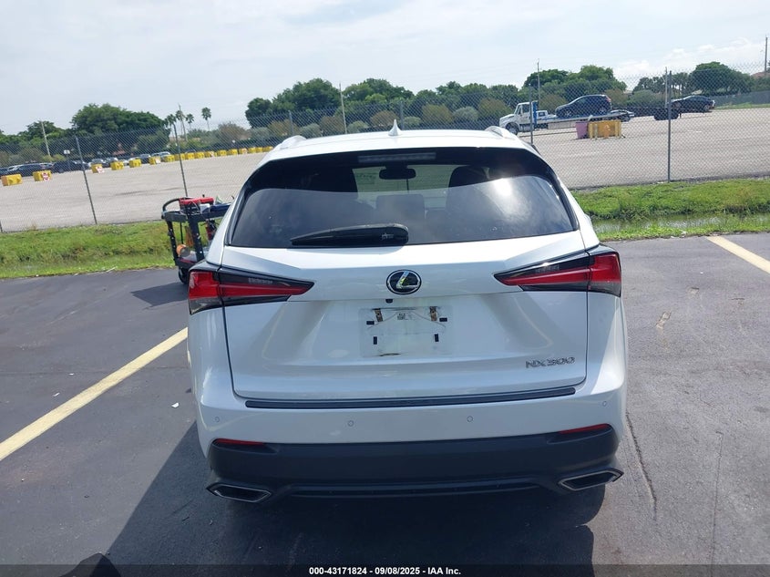 2020 LEXUS NX 300 - JTJDARBZ4L2177462