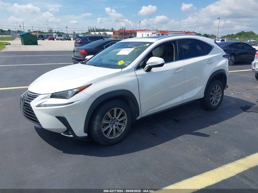 2020 LEXUS NX 300 - JTJDARBZ4L2177462