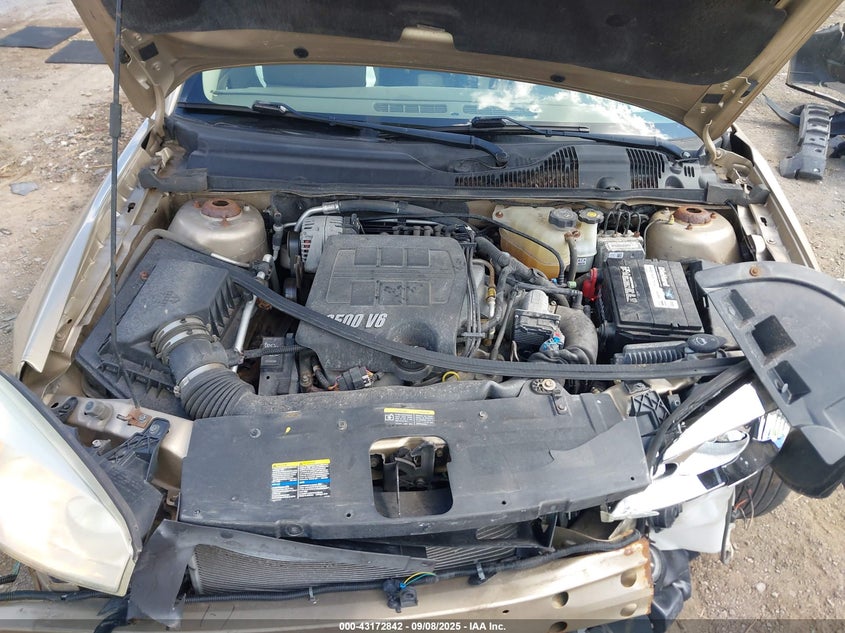 2006 Chevrolet Malibu Lt VIN: 1G1ZT51866F302133 Lot: 43172842