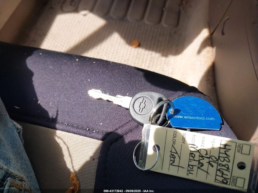 2006 Chevrolet Malibu Lt VIN: 1G1ZT51866F302133 Lot: 43172842