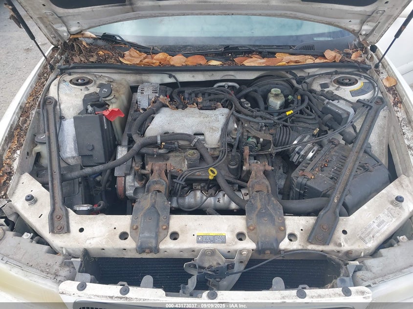 2002 Buick Century Custom VIN: 2G4WS52J621145599 Lot: 43173037