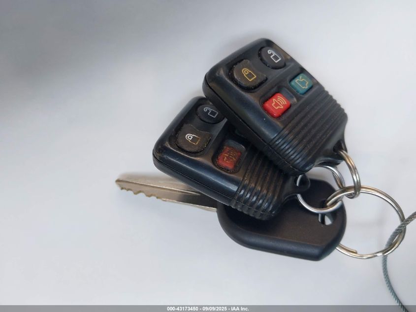 2007 Ford Explorer Xlt VIN: 1FMEU73E87UB46445 Lot: 43173450