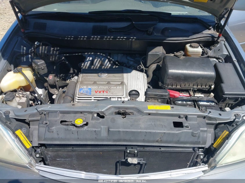 2003 Lexus Rx 300 VIN: JTJGF10U230151347 Lot: 43174189