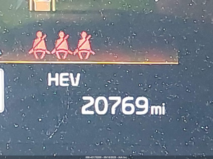 2024 Kia Sportage Plug-In Hybrid X-Line VIN: KNDPYDDH9R7141605 Lot: 43175209