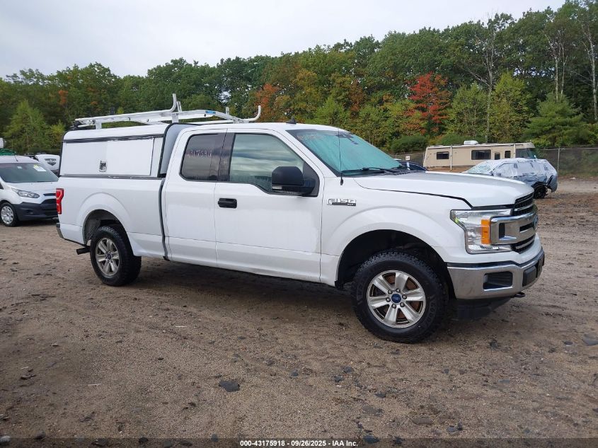 2019 Ford F-150 Xlt VIN: 1FTEX1EP4KKC43458 Lot: 43175918