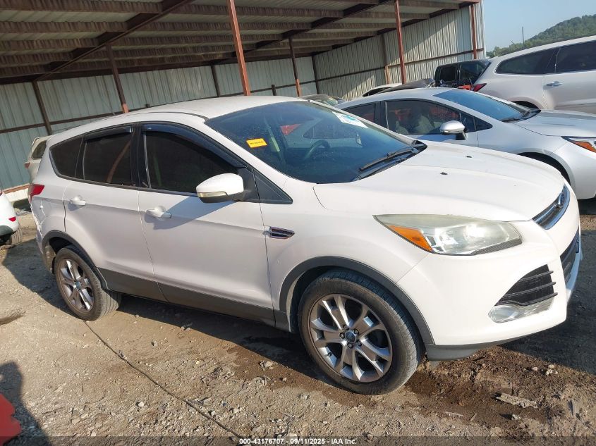 2013 Ford Escape VIN: 1FMCUHXXDUA88407 Lot: 43176707